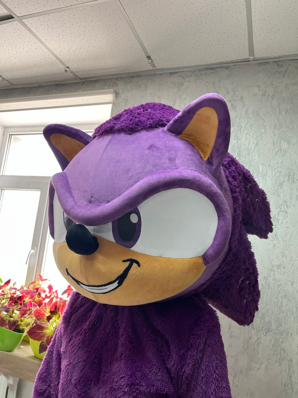 Hedgehog Mascot