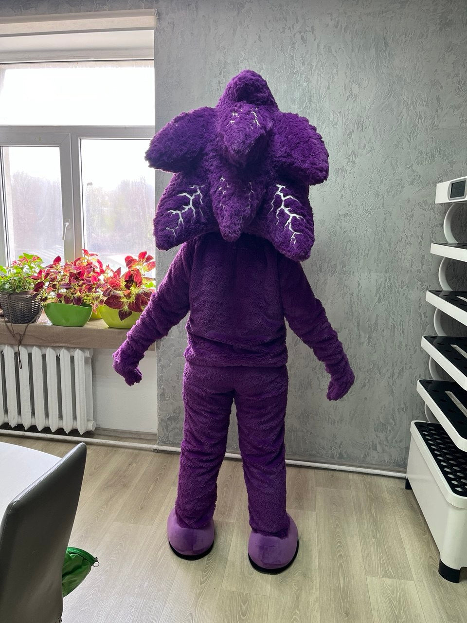 Hedgehog Mascot