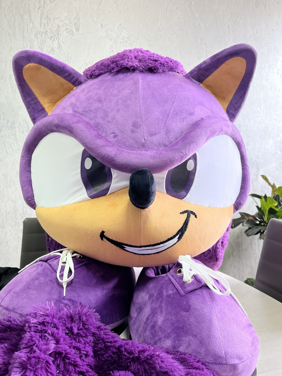 Hedgehog Mascot
