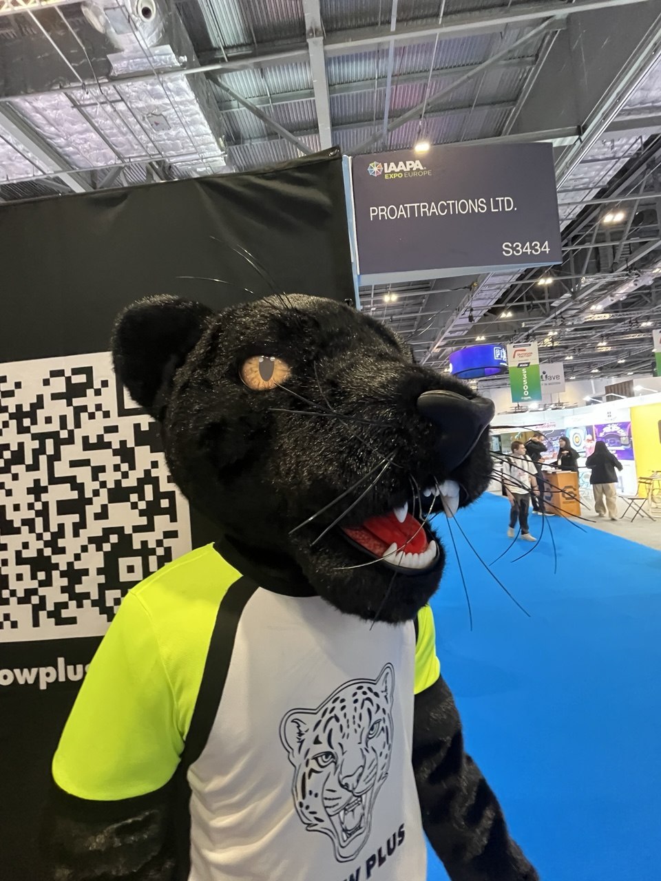 Black Panther Professional Mascot