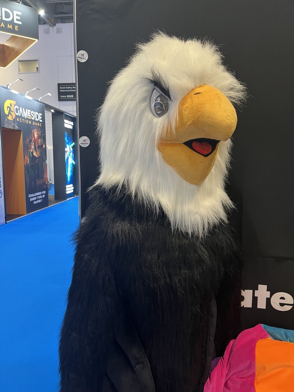 Eagle Mascot Costume