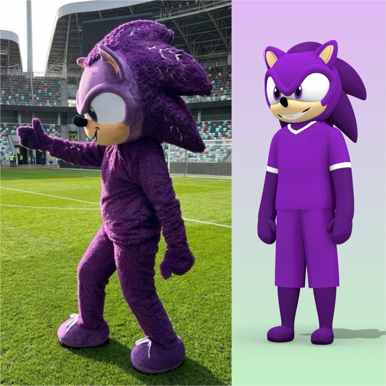 CUSTOM MASCOT ORDER